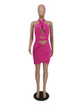 Summer Rose Hollow Out Bandage Halter Mini Sexy Bodycon Dress