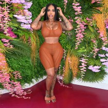 Summer Solid Sexy Brown See Through Mesh Camisole Shorts Tracksuit Two Pieces