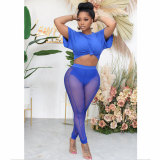 Casual Sapphire Blue Sexy Perspective T Shirt Mesh Pants 2 Piece Sets