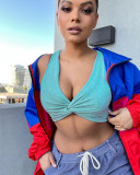 Pale Blue Sexy Casual Solid Vests V Neck Tops