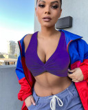 Purple Sexy Casual Solid Vests V Neck Tops