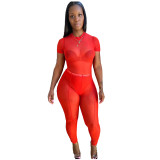 Red Sexy Mesh Sheer High Waist Trousers Short Sleeve Bodysuit Pant Set