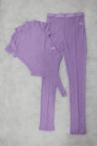 Light Purple Sexy Mesh Sheer High Waist Trousers Short Sleeve Bodysuit Pant Set