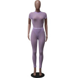 Light Purple Sexy Mesh Sheer High Waist Trousers Short Sleeve Bodysuit Pant Set