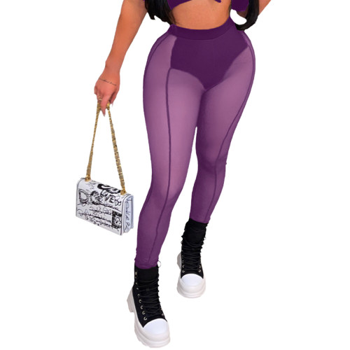 Purple Sexy Perspective Knitting Mesh High Waist Tight Casual Pants