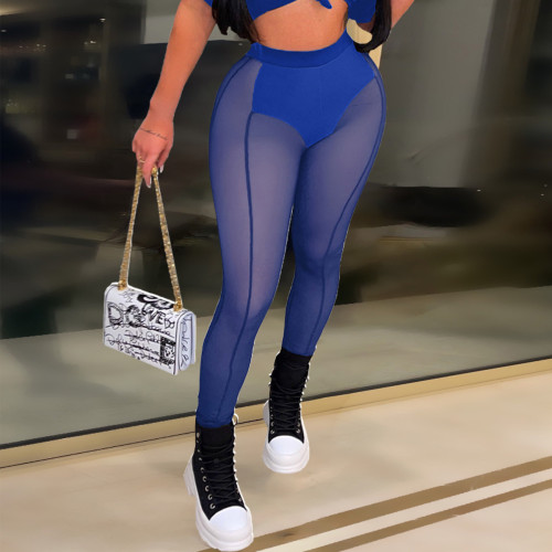 Blue Sexy Perspective Knitting Mesh High Waist Tight Casual Pants
