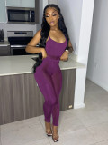 Casual Purple Mesh Perspective Stitching Sexy Hollow Nightclub Two Piece Set