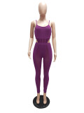 Casual Purple Mesh Perspective Stitching Sexy Hollow Nightclub Two Piece Set