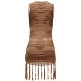 Brown Sexy Perspective Mesh Knitting Fringe Beach Dress