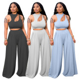 Casual Solid Hollow Sleeveless Crop Top & Loose Long Pant Two-Piece Set