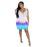 Sexy See Through Knitted Mesh Fringed Beach Dress