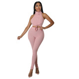 Pink Solid Color Pit Turtleneck Sexy Halter Backless Two Piece Outfits