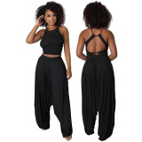 Black Casual Knitted Straps Backless Top & Pleated Harem Pants
