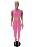 Pink Solid Sleeveless Zipper Crop Top And Long Pants 2 Piece Sets with Pockets