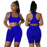 Royal Blue Solid Color Sports Long Sleeves Shawl Vest & Shorts 3 Piece Set