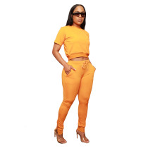 Yellow Casual Solid Patchwork O Neck Zipper Top Short Sleeve Two Pieces Pant Set