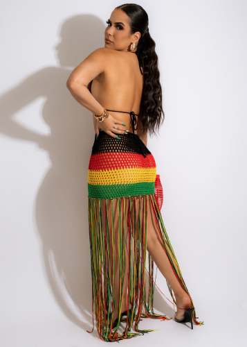 Long Fringed Beach Dress Summer Woven Color-block Skirt Set
