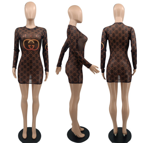 High Elastic Fashion Printed Round Neck Long Sleeve Perspective Mesh Mini Dress