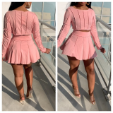 Autumn Women's Wear Solid Color Long Sleeve Pleated Skirt Set