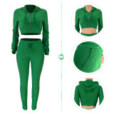 Women Solid Color Clothes Set Long Sleeve Hoodie Crop Tops with Zipper + Long Pants