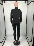 Womens Printed Sexy 2 Pieces Paneled Zipper Jackets Bodycon Tracksuit Set