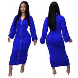Ruched Lantern Sleeve Zip Front Bodycon Dress