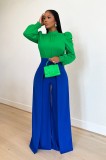 Women Bow Back Stand Neck Puff Long Sleeve Blouses Tops