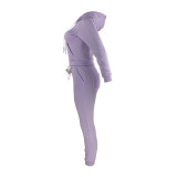 Winter Light Purple Fleece Two Piece Sweatpants and Hoodie Set for Women
