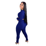 Women's 2 Piece Hoodie Tracksuit Workout Outfits Crop Top Bodycon Sweatpants