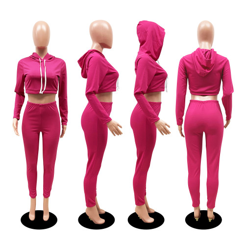Ladies Leisure Sweatsuit Hooded Pit Sport Autumn Women Two Piece Pants Set