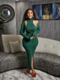 Sexy Casual Solid Pullovers Turtleneck 2 Piece Set
