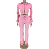 Womens Winter 2 Piece Outfits Velour Tracksuit Zip Up Hoodie Crop Jacket & Pants Sweatsuit Set with Pockets