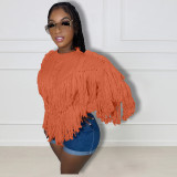 Solid Knitted Fringed Sweater