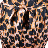Casual Womens Wear Amazon 2023 Spring Summer Dress Fashion Leopard Print 5-point Sleeve Maxi Dress