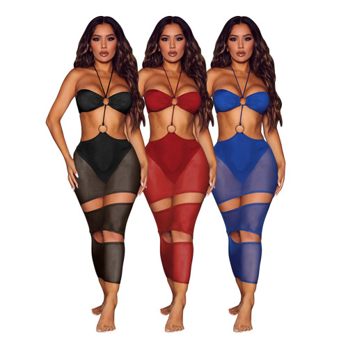 Solid Color Sexy See Through Mesh Halter Backless Long Dress with Hollow