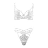 Valentine Mesh See Through Thong Sexy Lingerie Set