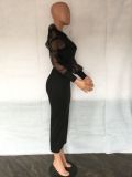 Fashion Mesh Puff Sleeve Elegant Slim Mid Dress