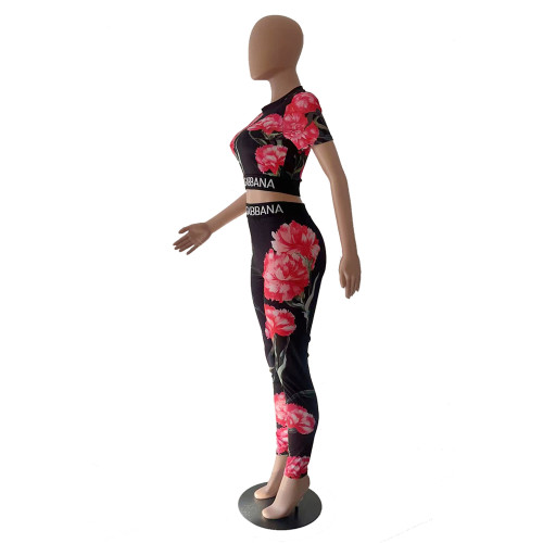 Casual Colorful Flower Print Short Sleeve Two-piece Pant Set