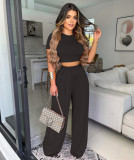 two piece set women clothing trendy women's clothing all-match casual wide-leg two-piece suit ladies sets