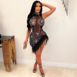Sexy Mesh Dress with Rhinestones, Beads, and Feathers