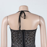 Sexy Bodycon Dress with Rhinestone and Fringe Detailing, featuring Sheer Panels and Diamond Embellishments