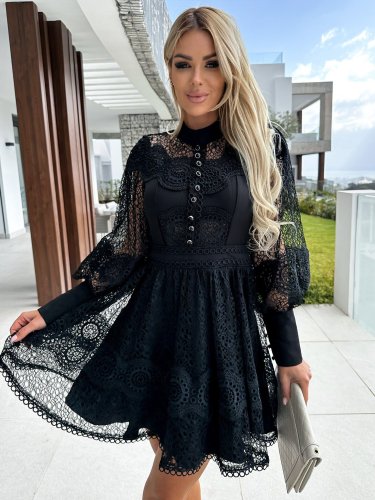 Long Seeved Lace Dress