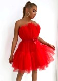Strapless Tulle Dress with Butterfly Knot and Puffy Skirt