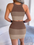 Color Block Sleeveless Crop Knit Top and Skirt Set