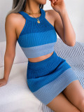 Color Block Sleeveless Crop Knit Top and Skirt Set