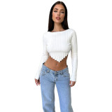 Solid Color Pit Long Sleeve Knitted Crop Tops
