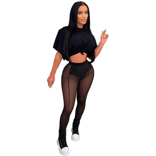 Casual Black Sexy Perspective T Shirt Mesh Pants 2 Piece Sets