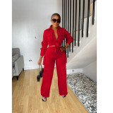 Solid Color Long Sleeves Single-breasted Wide Legs Trousers Two Piece Set