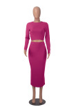Women Long Sleeve Top and Bodycon Skirt Two Piece Set