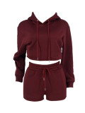 Solid Color Drawstring Hooded Sweatshirt Set Two Pieces